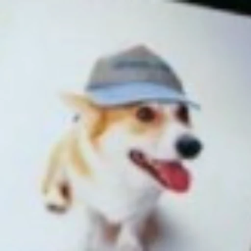 RUFUS